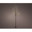 Albero Luminoso per Esterno