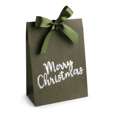 Paper Bag Merry Christmas 2