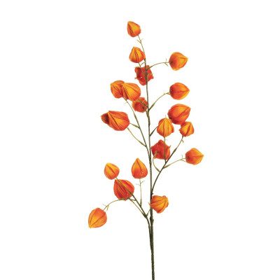 RAMO PHYSALIS ARANCIO 98 CM