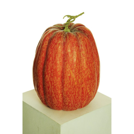 ZUCCA DECORATIVA REALISTICA 21 CM