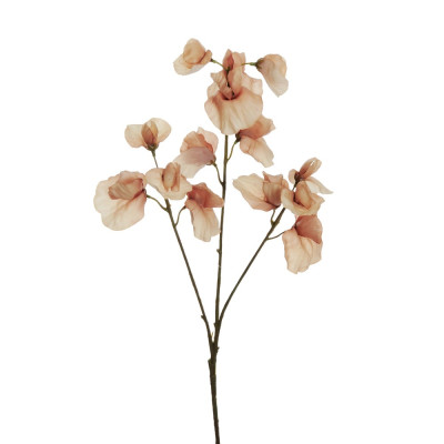 RAMO DI PISELLO ODOROSO REAL TOUCH 67 CM 2