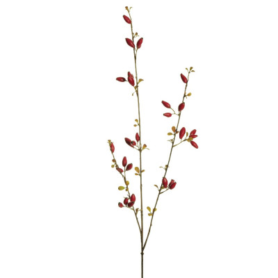 RAMO DI ROSA CANINA 83 CM