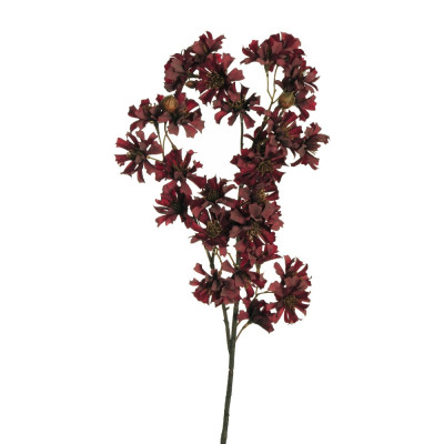 RAMO COREOPSIDE 78 CM 2
