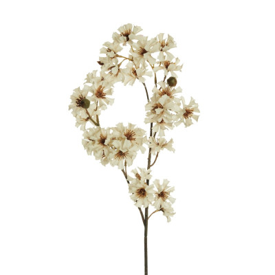 RAMO COREOPSIDE 78 CM