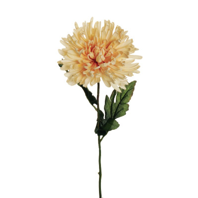 CRISANTEMO DECORATIVO DRY LOOK  70 CM 2