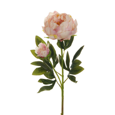 RAMO 2 PEONIE 66CM