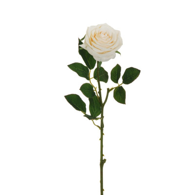 Rosa Ecuador