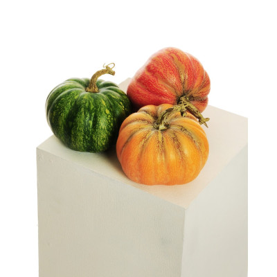 Zucca 14cm