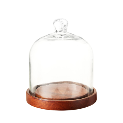 Cloche In Vetro Con Base In Legno Di Mango 15cm