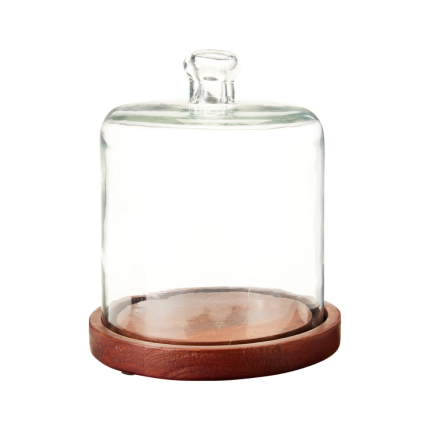 Cloche In Vetro Con Base In Legno Di Mango 18cm