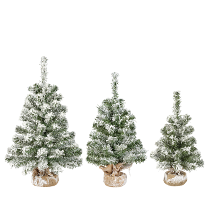 Mini albero imperial innevato