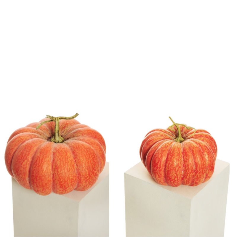 Decorazione Zucca Autunno