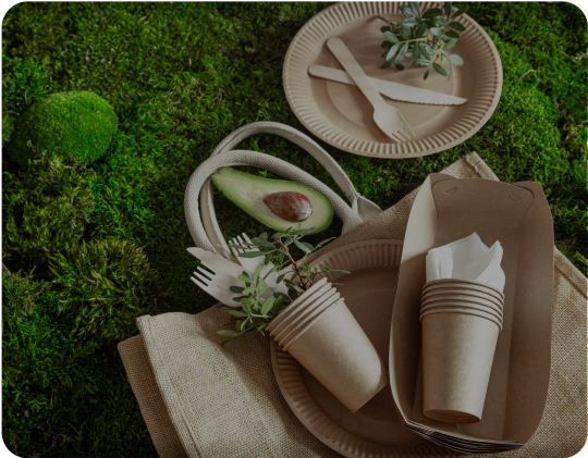 Catalogo Packaging